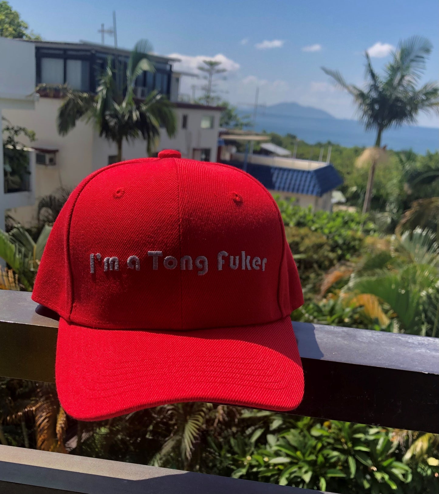 Tong Fuker Cap